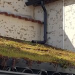 Ecoulement des eaux de pluie sur toiture végétalisée